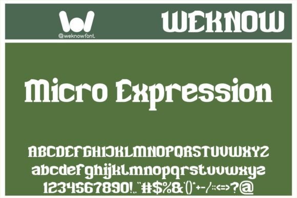Unleashing the Power of Typography: How Microexpression Blends Fun and Sophistication